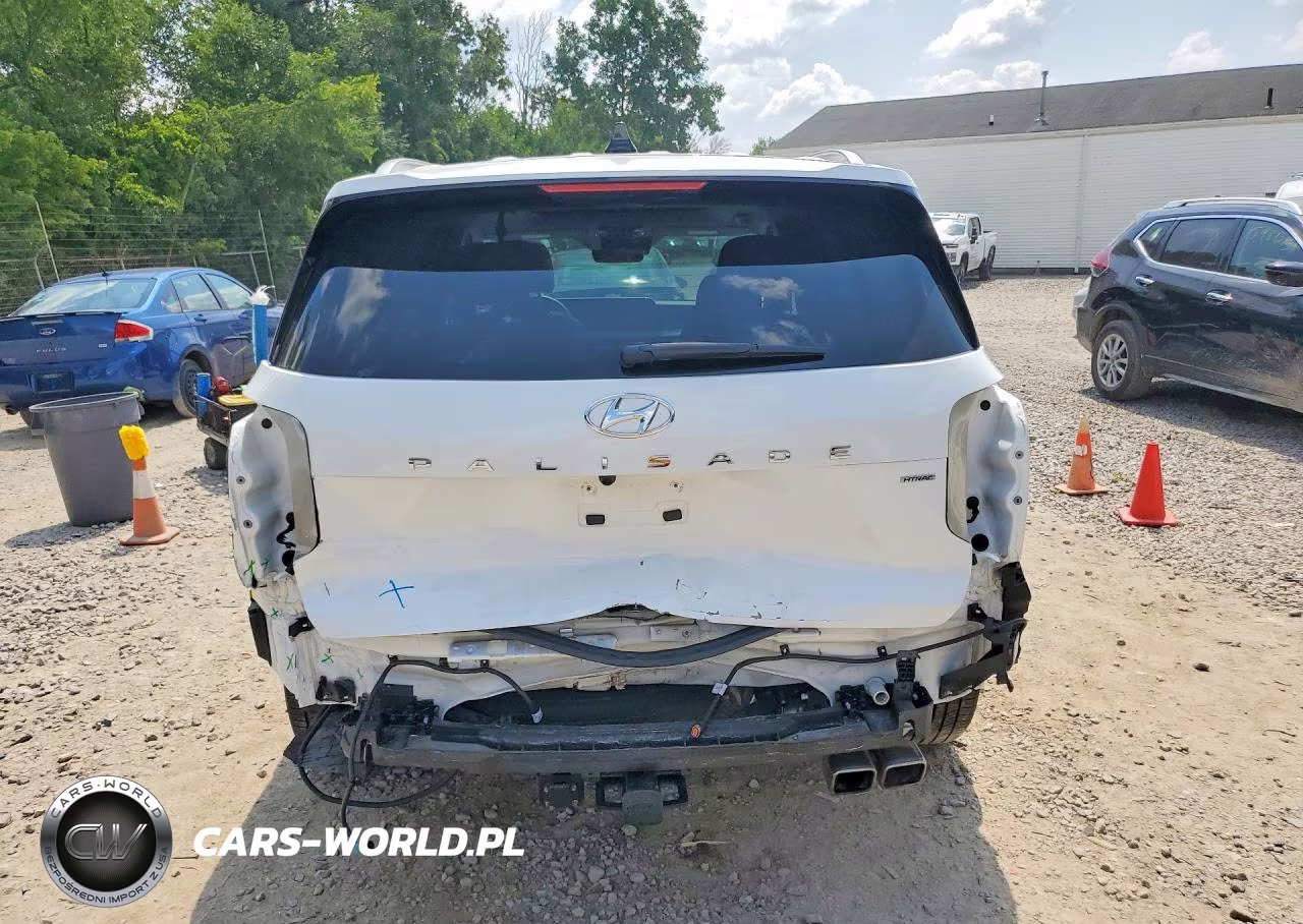 2025 Hyundai Palisade Sel Premium VIN:KM8R4DGE2SU945141 - 6
