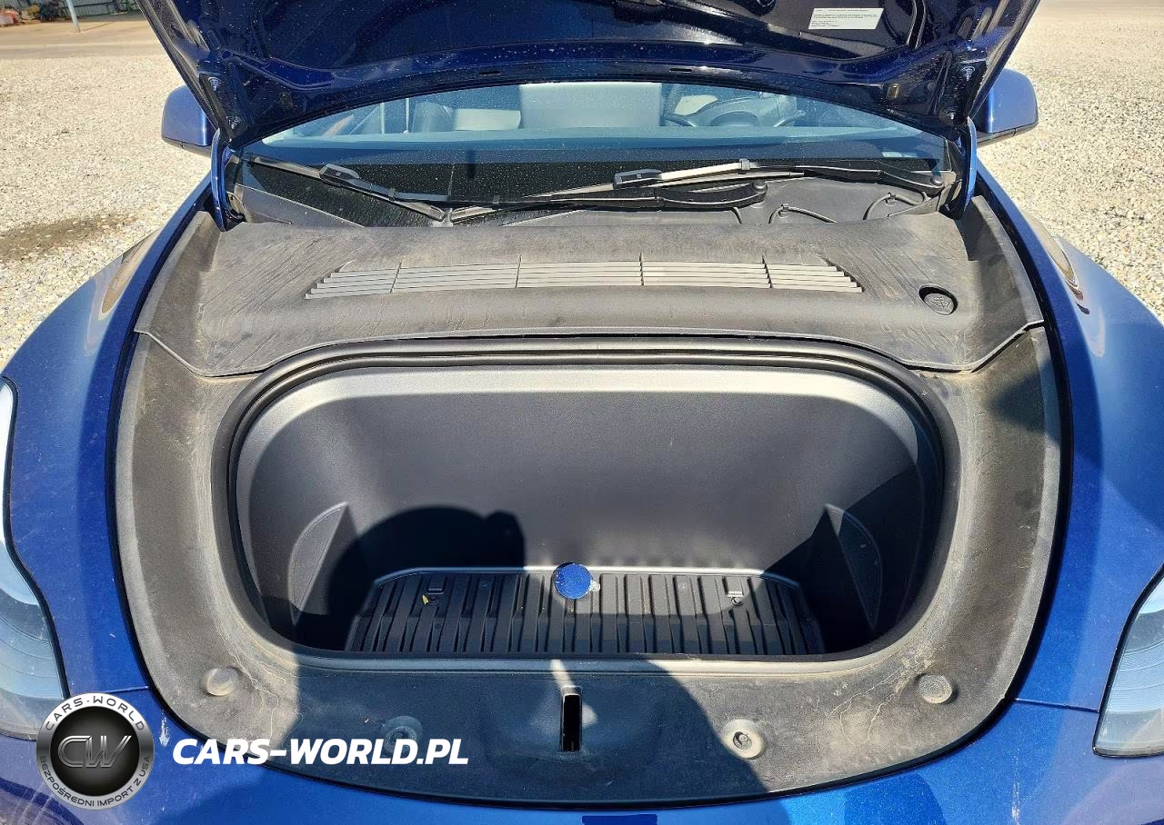2023 Tesla Model Y VIN:7SAYGDEE7PA201027 - 12
