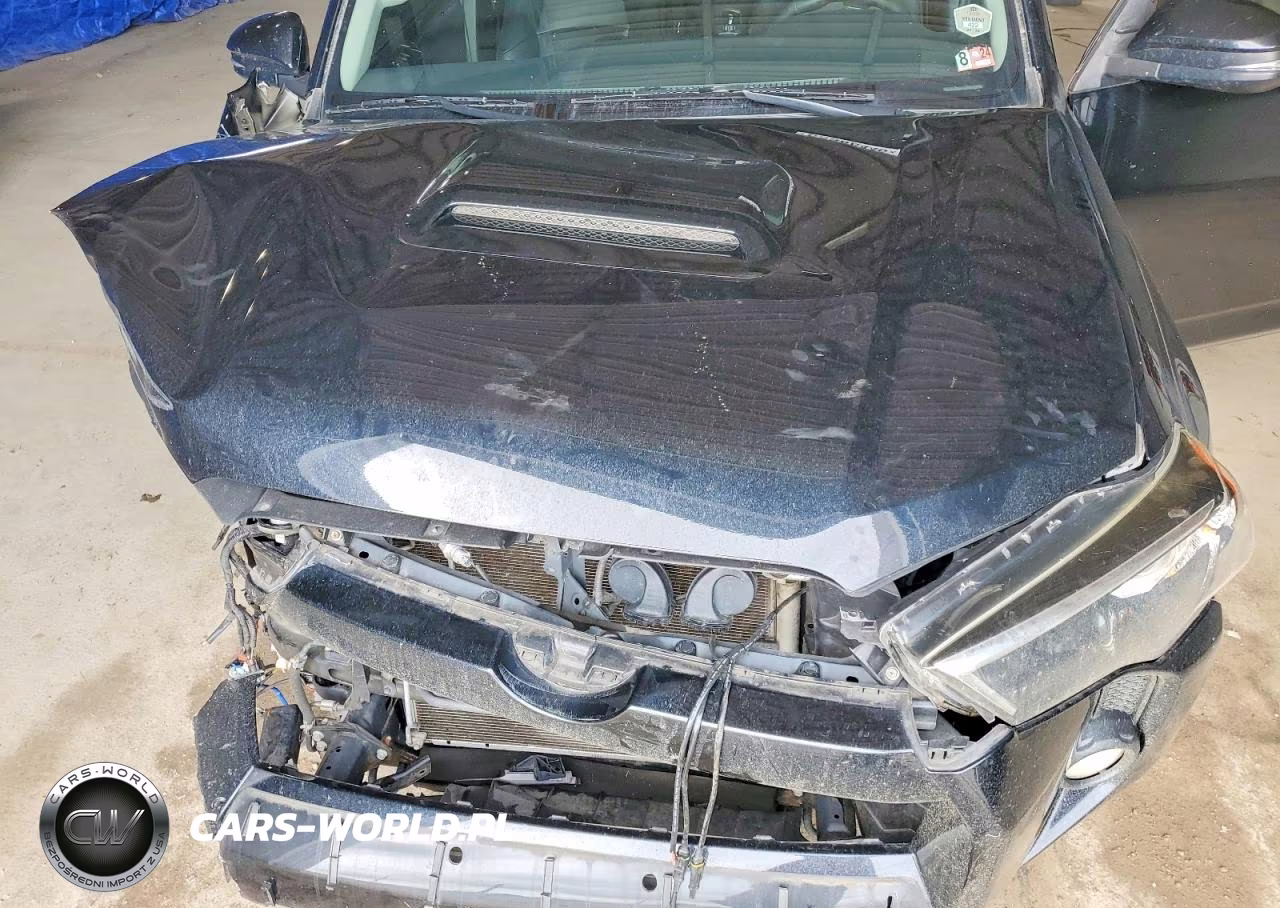 2019 Toyota 4Runner Trd Off-Road Premium VIN:JTEBU5JR1K5612975 - 12
