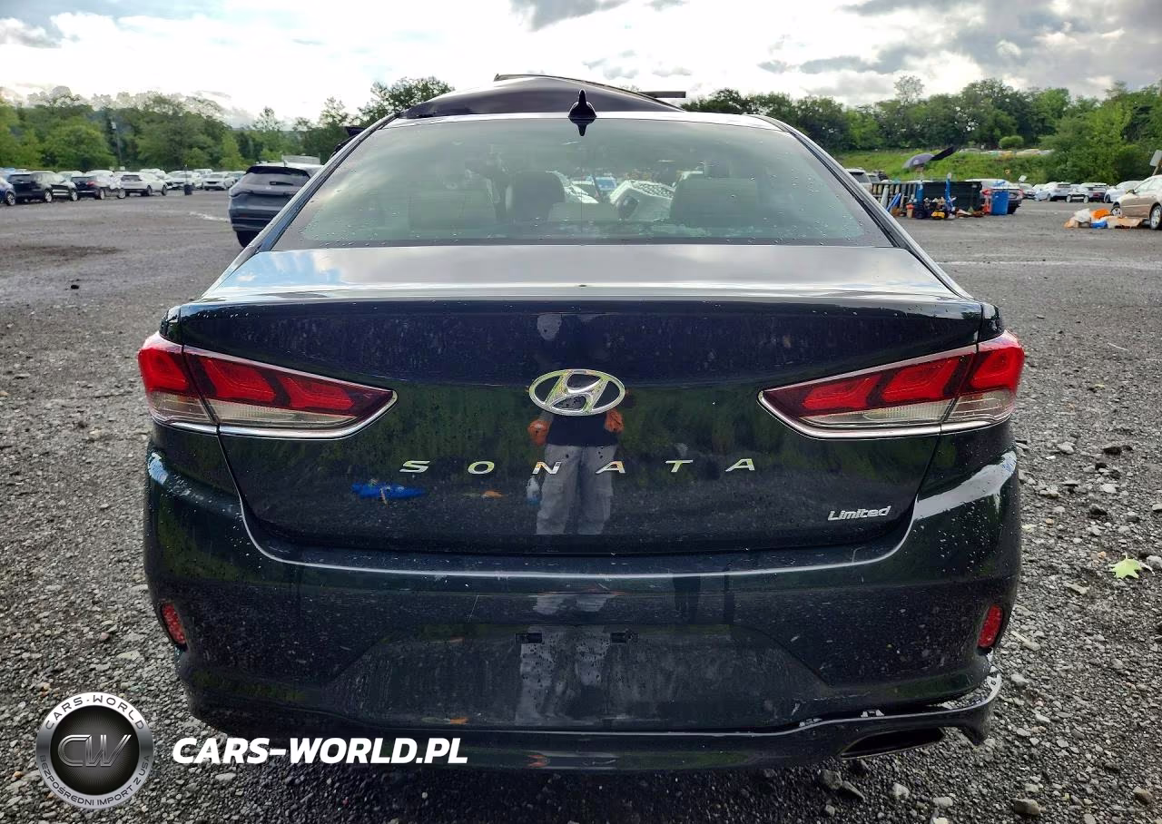 2018 Hyundai Sonata Limited VIN:5NPE34AF7JH715613 - 6