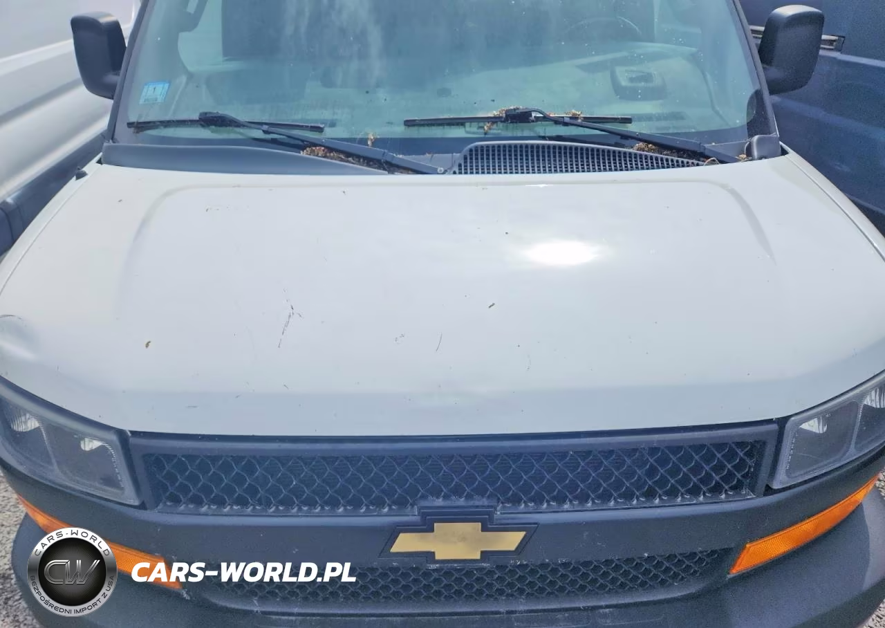 2021 Chevrolet Express G2500 VIN:1GCWGAFP5M1302125 - 12