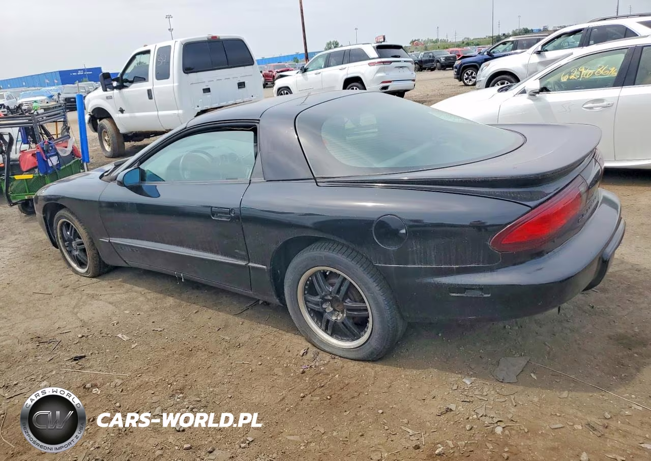 1994 Pontiac Firebird VIN:2G2FS22S2R2206385 - 2