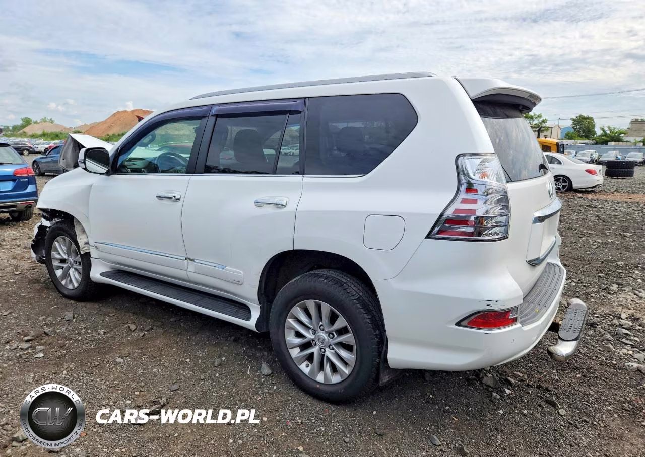 2019 Lexus Gx 460 VIN:JTJBM7FX5K5236446 - 2