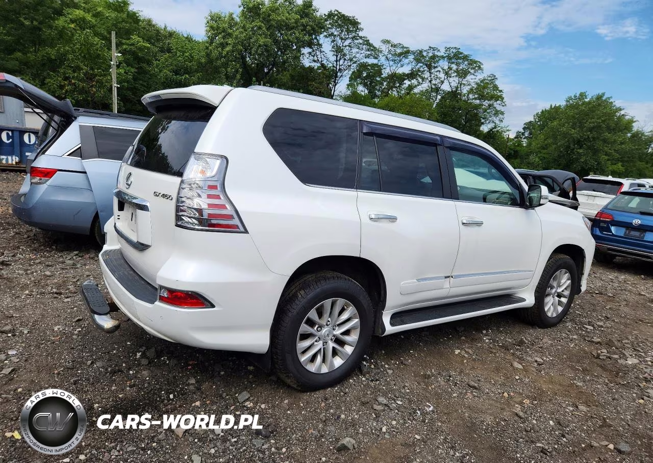 2019 Lexus Gx 460 VIN:JTJBM7FX5K5236446 - 3