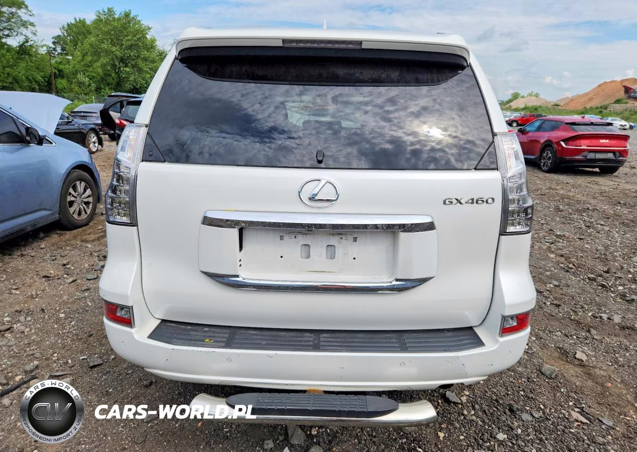 2019 Lexus Gx 460 VIN:JTJBM7FX5K5236446 - 6