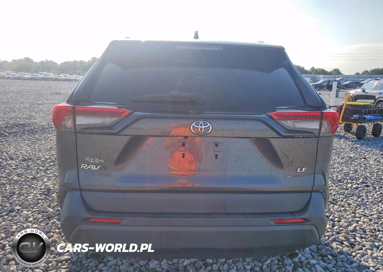 2020 Toyota Rav4 Le VIN:2T3H1RFV1LC048356 - 6
