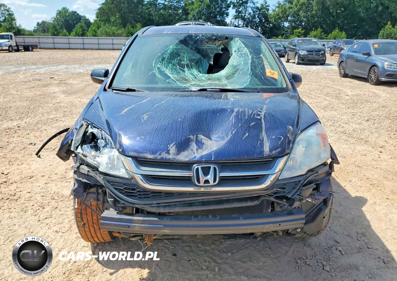 2010 Honda Cr-V Lx VIN:5J6RE3H38AL010004 - 5