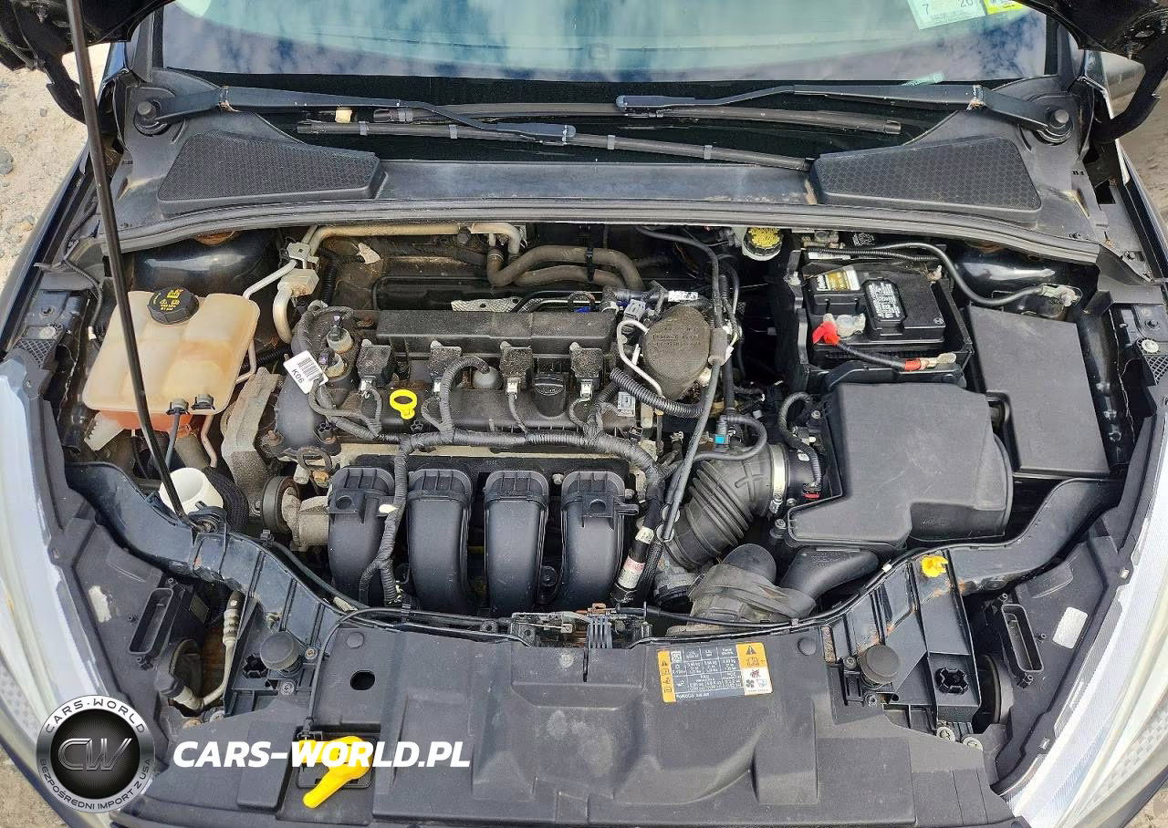 2015 Ford Focus Se VIN:1FADP3F25FL365083 - 11