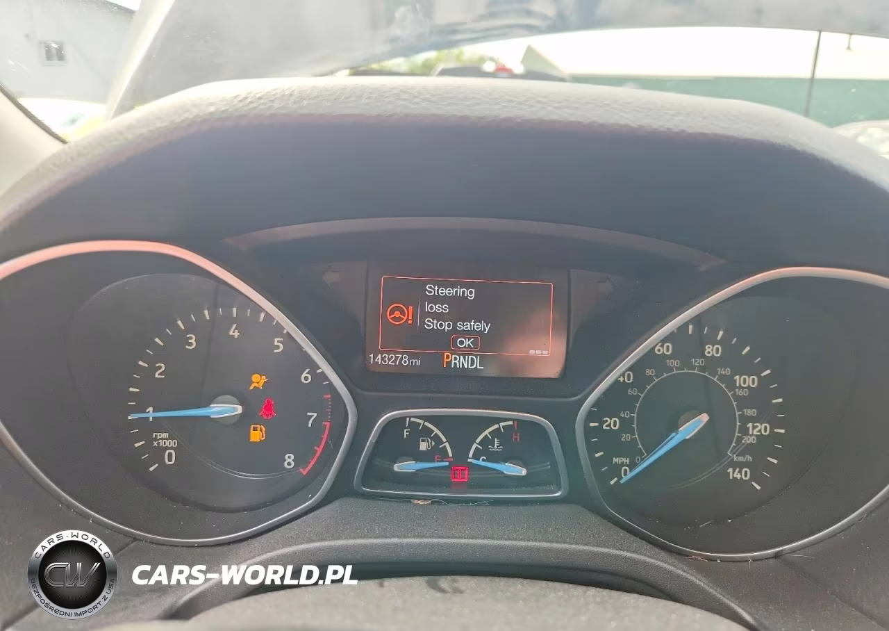 2015 Ford Focus Se VIN:1FADP3F25FL365083 - 9