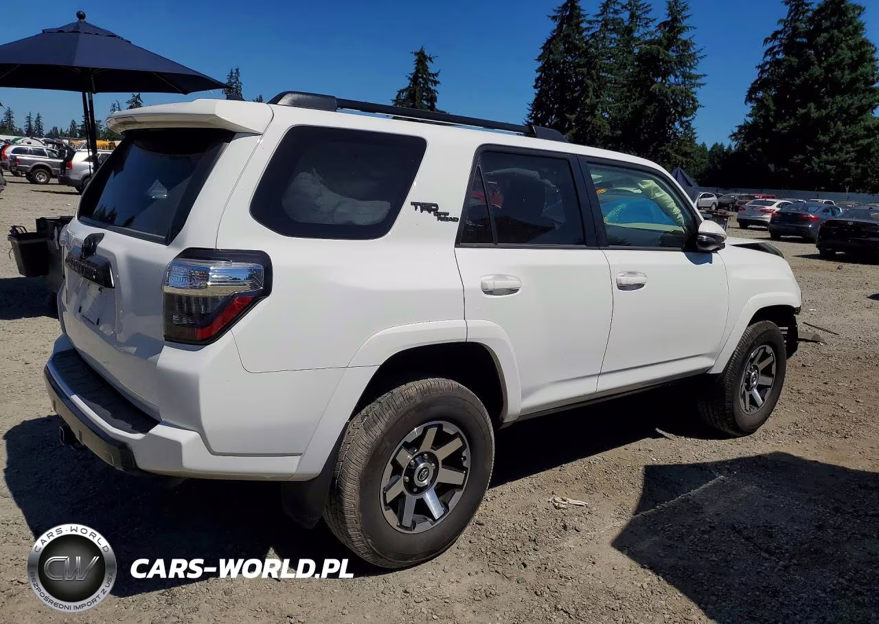 2021 Toyota 4Runner Trd Off-Road Premium VIN:JTERU5JR7M5919925 - 3