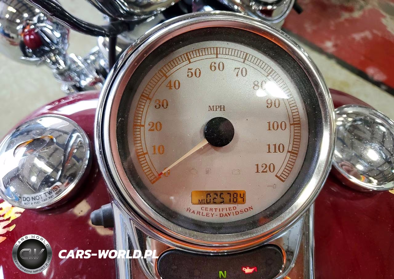 2006 Harley-Davidson Flhrsi VIN:1HD1FYW136Y661144 - 7