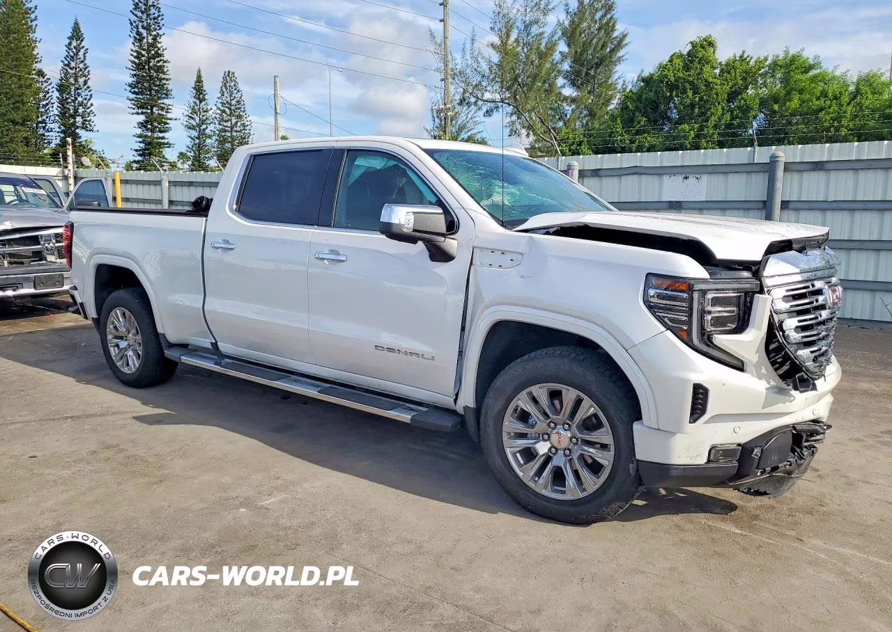 2024 GMC Sierra K1500 Denali VIN:3GTUUGEL0RG219213 - 4