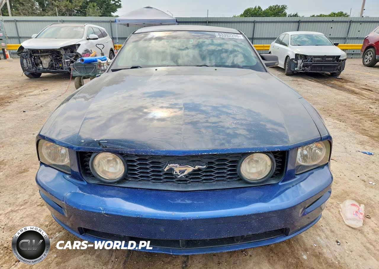 2006 Ford Mustang Gt VIN:1ZVFT82H265258757 - 5