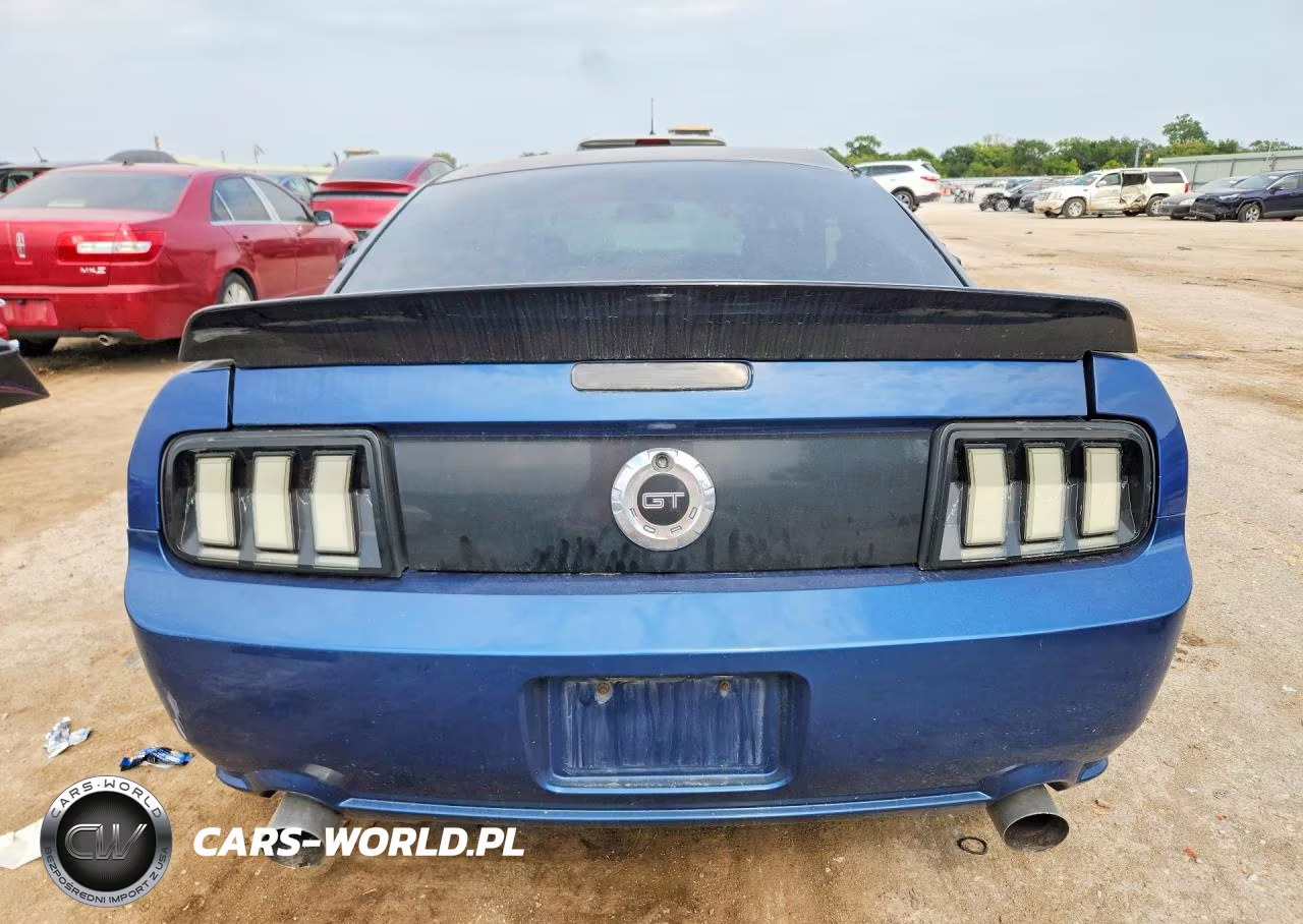 2006 Ford Mustang Gt VIN:1ZVFT82H265258757 - 6