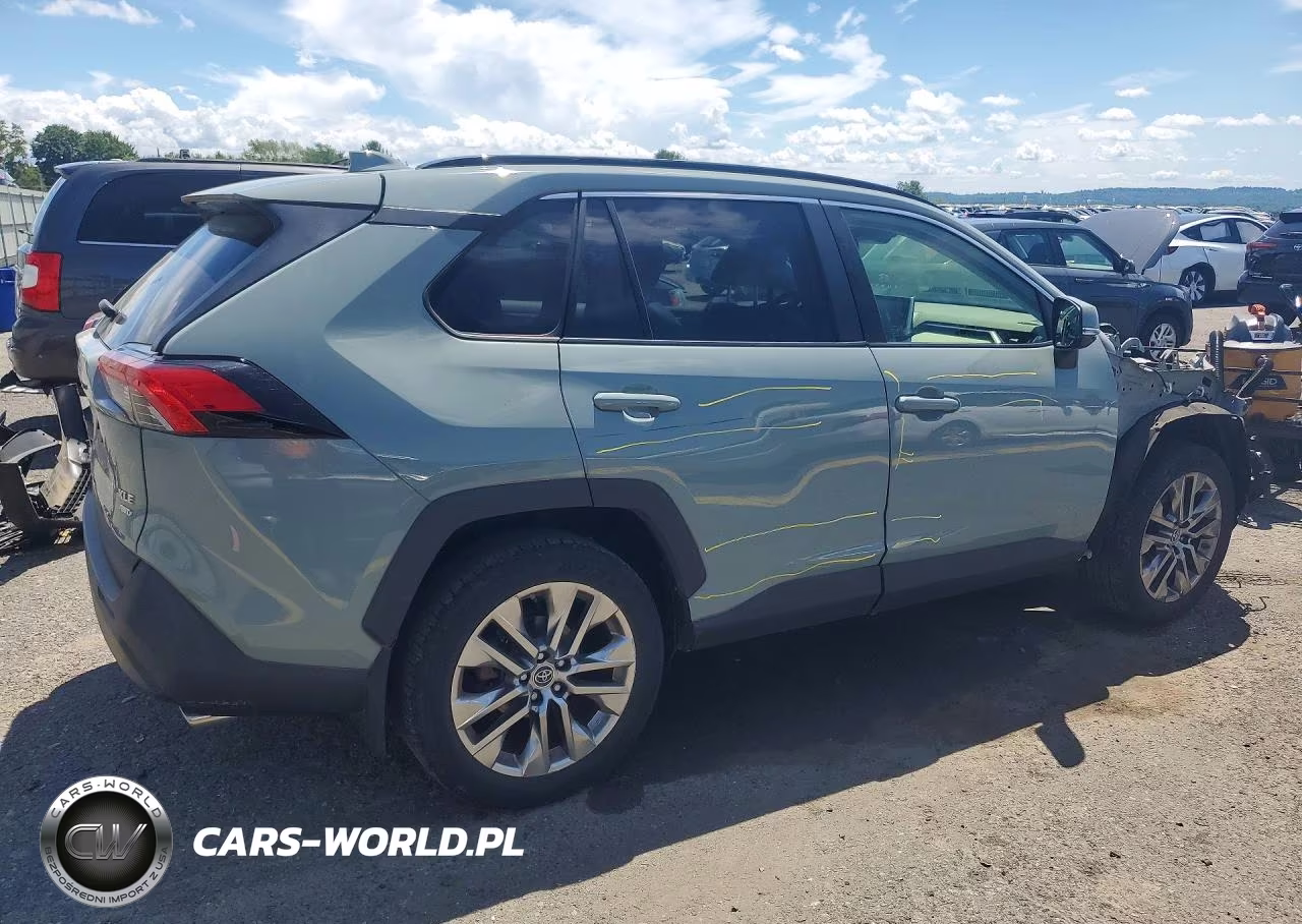 2019 Toyota Rav4 Xle Premium VIN:JTMA1RFV7KD517235 - 3