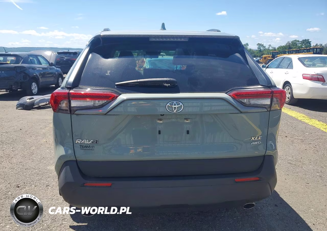 2019 Toyota Rav4 Xle Premium VIN:JTMA1RFV7KD517235 - 6