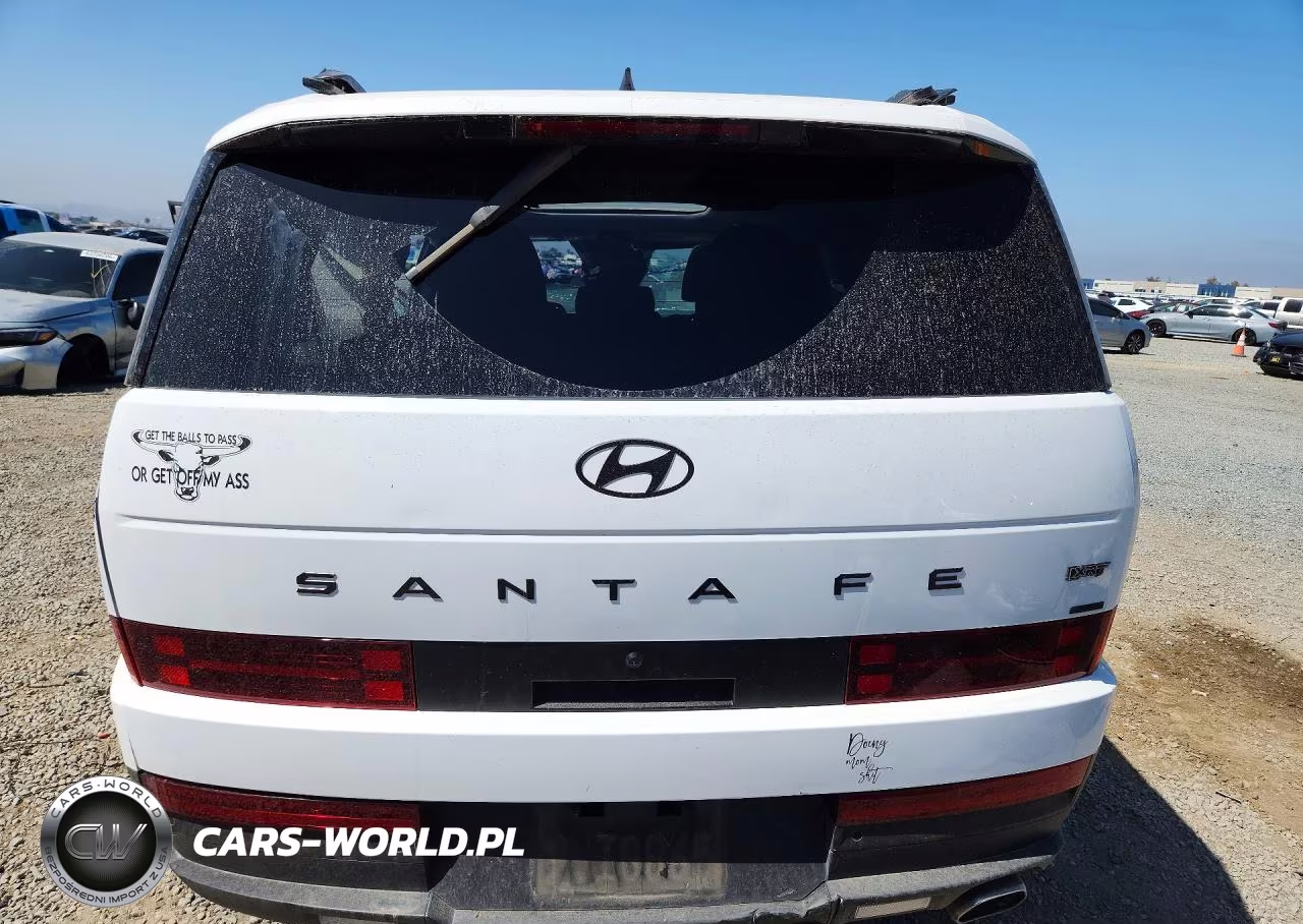 2025 Hyundai Santa Fe Xrt VIN:5NMP3DGL9SH117401 - 6