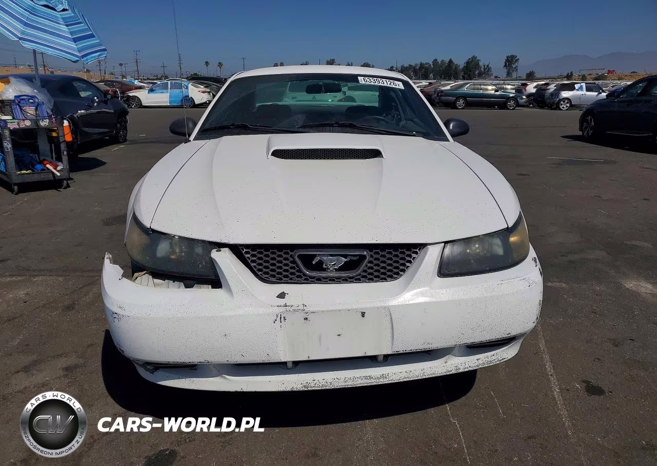 2003 Ford Mustang VIN:1FAFP40493F449278 - 5