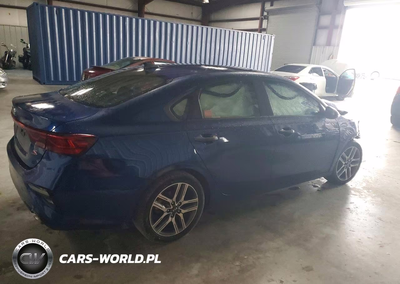 2019 Kia Forte S VIN:3KPF34AD1KE016356 - 3
