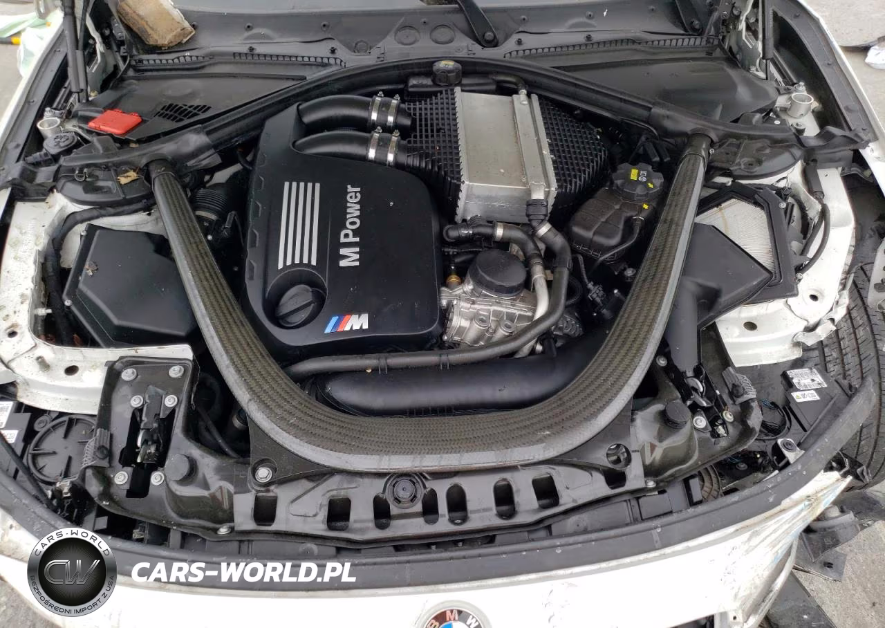 2016 BMW M4 VIN:WBS3R9C51GK338013 - 11