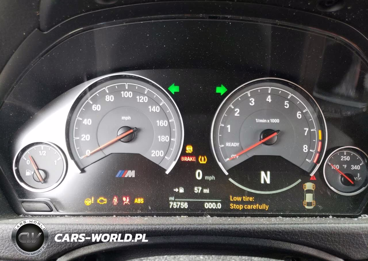 2016 BMW M4 VIN:WBS3R9C51GK338013 - 9