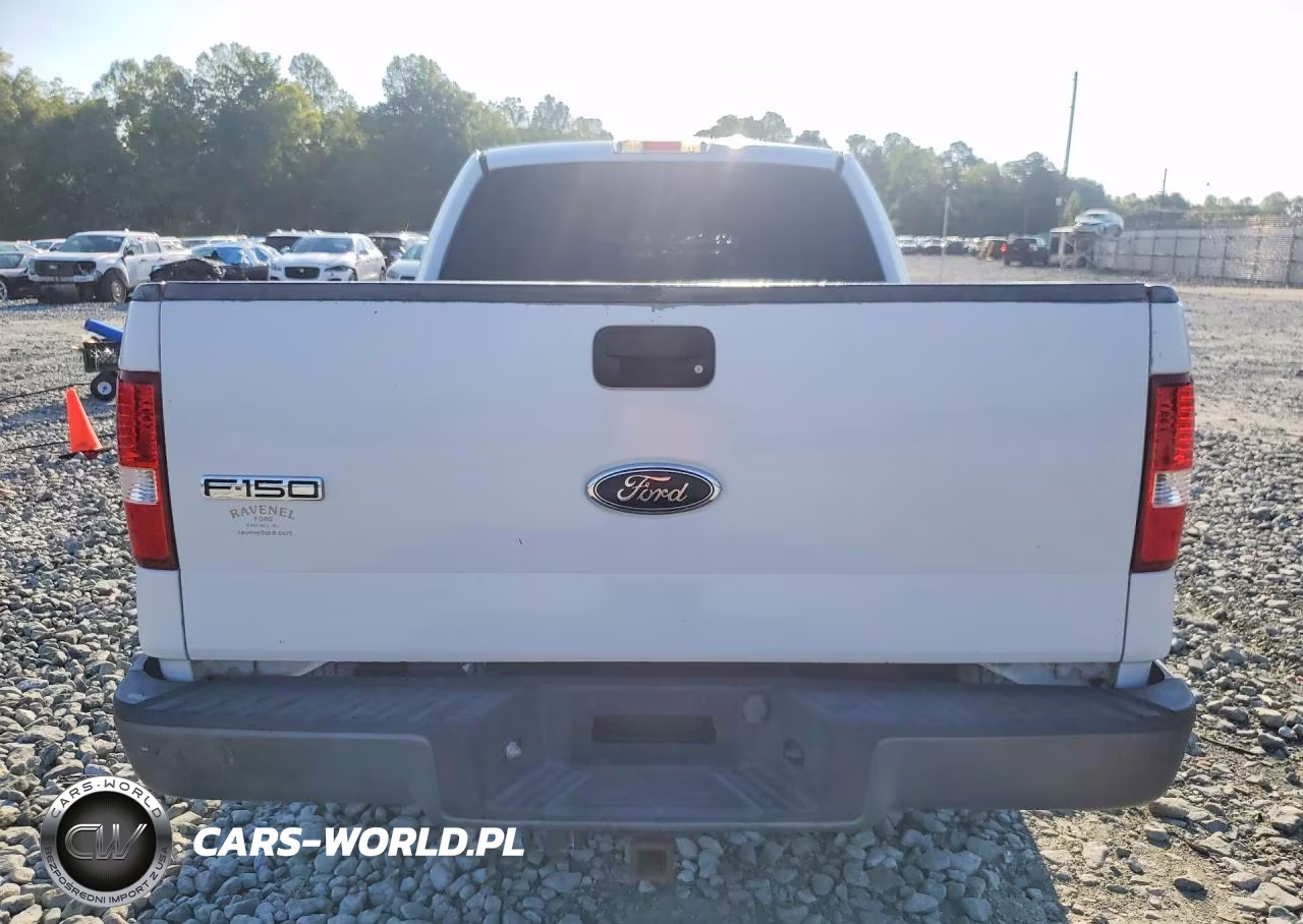 2005 Ford F150 Xl VIN:1FTRX12W95NA18095 - 6