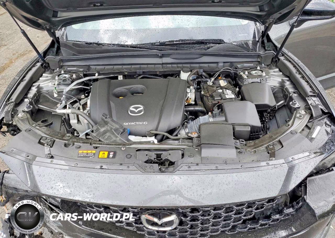 2023 Mazda Cx-50 Premium Plus VIN:7MMVABEM5PN109884 - 12