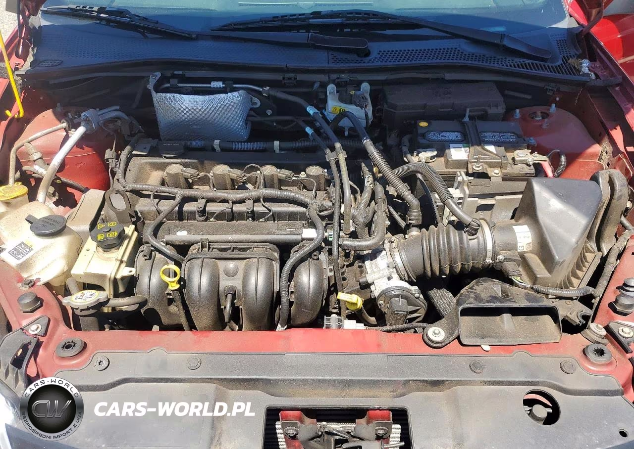 2010 Ford Focus Ses VIN:1FAHP3GNXAW285005 - 11