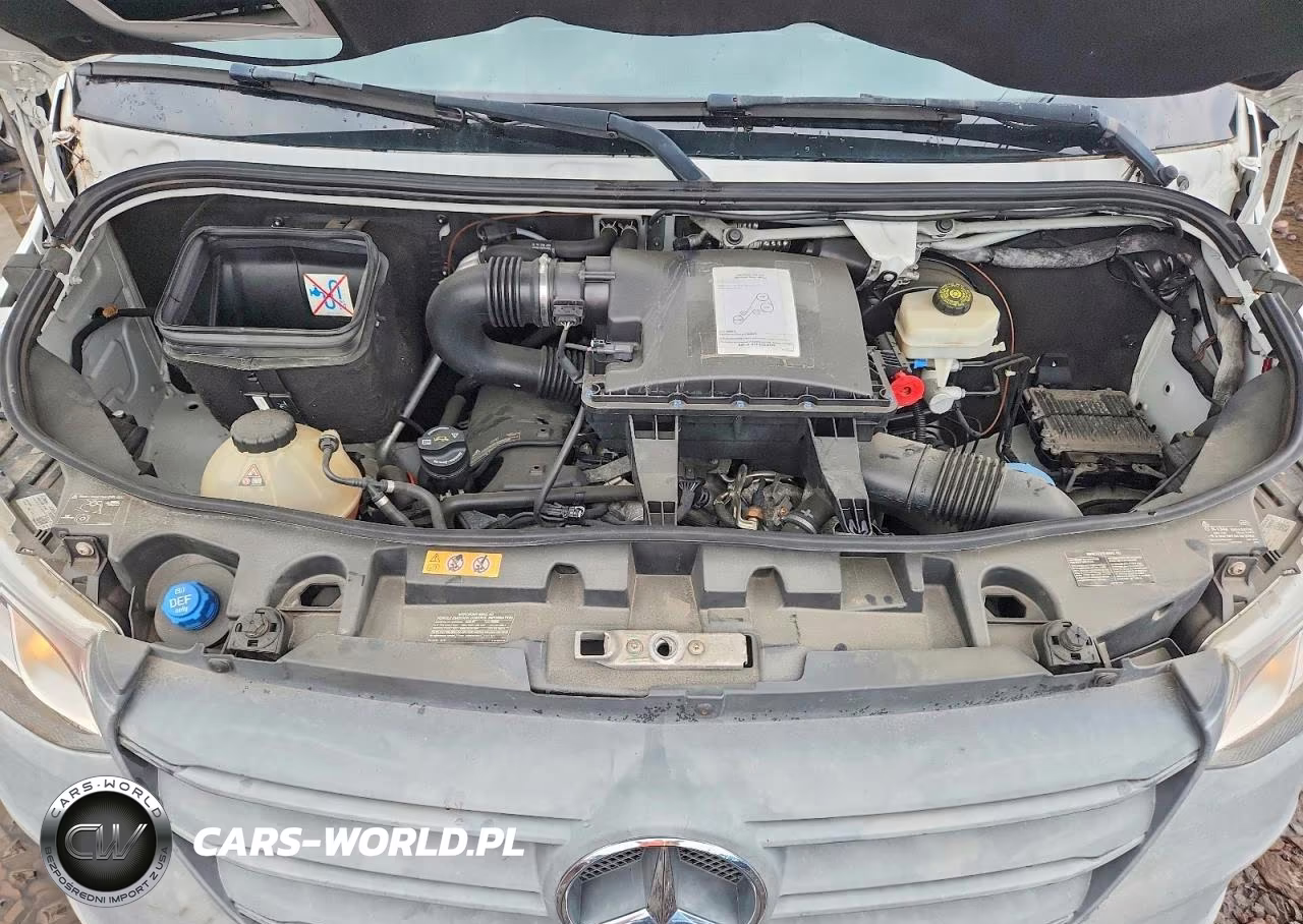 MERCEDES-BENZ SPRINTER 2 VIN:W1Y4EDHYXLT030139 - 12