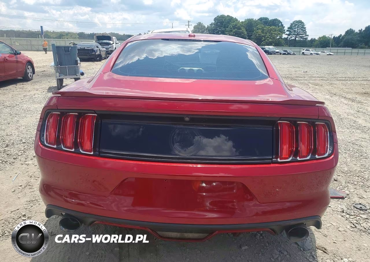 2015 Ford Mustang Gt VIN:1FA6P8CF7F5390567 - 6