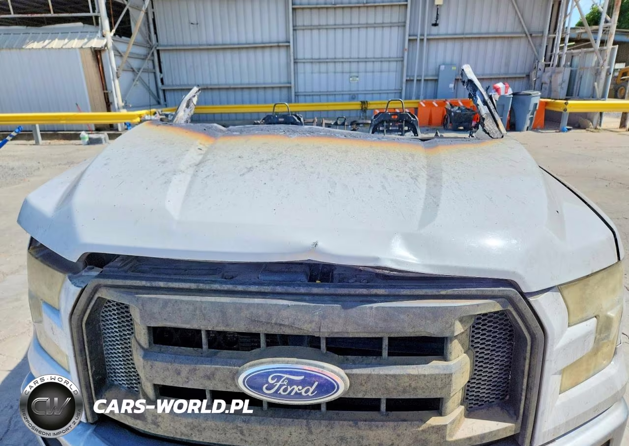 2015 Ford F150 Supercrew VIN:1FTEW1EP5FFA55131 - 11