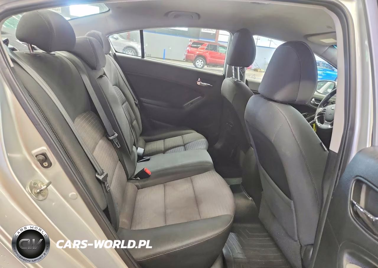 2014 Kia Forte Lx VIN:KNAFX4A64E5220894 - 10