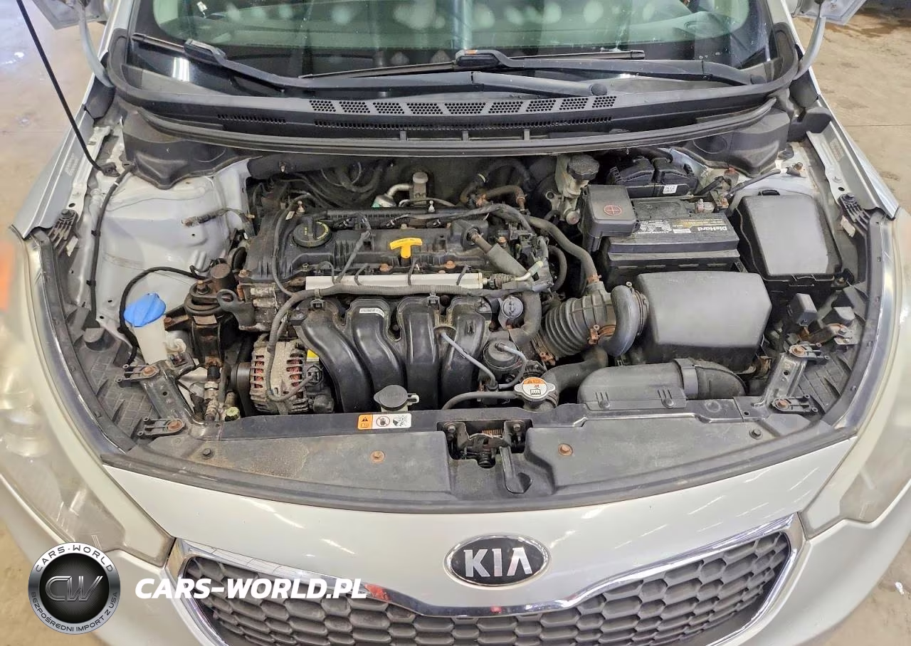 2014 Kia Forte Lx VIN:KNAFX4A64E5220894 - 11
