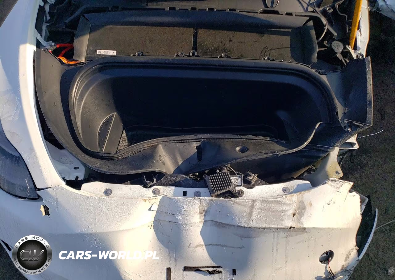 2023 Tesla Model Y VIN:7SAYGDED6PF940819 - 11