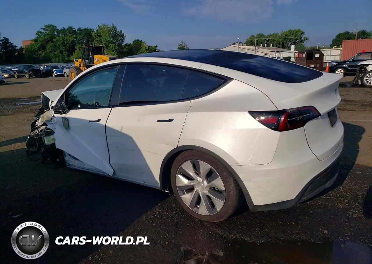 2023 Tesla Model Y VIN:7SAYGDED6PF940819 - 2