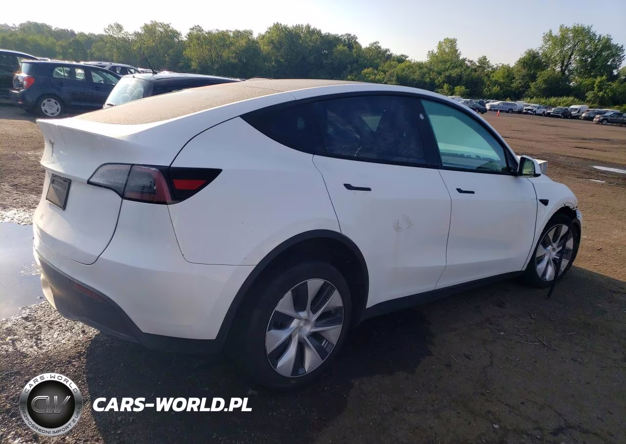 2023 Tesla Model Y VIN:7SAYGDED6PF940819 - 3