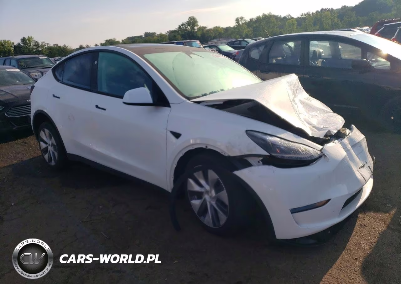 2023 Tesla Model Y VIN:7SAYGDED6PF940819 - 4