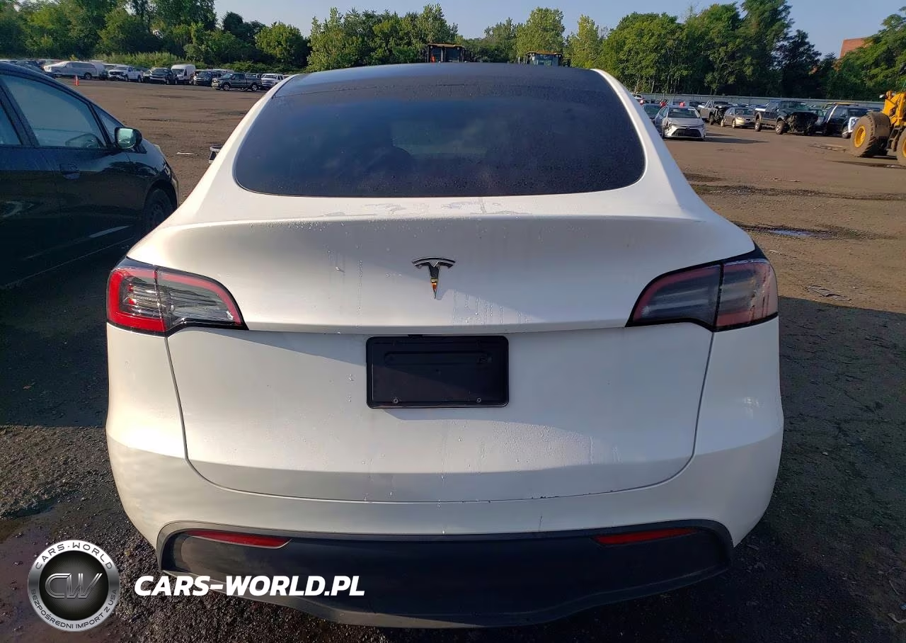2023 Tesla Model Y VIN:7SAYGDED6PF940819 - 6