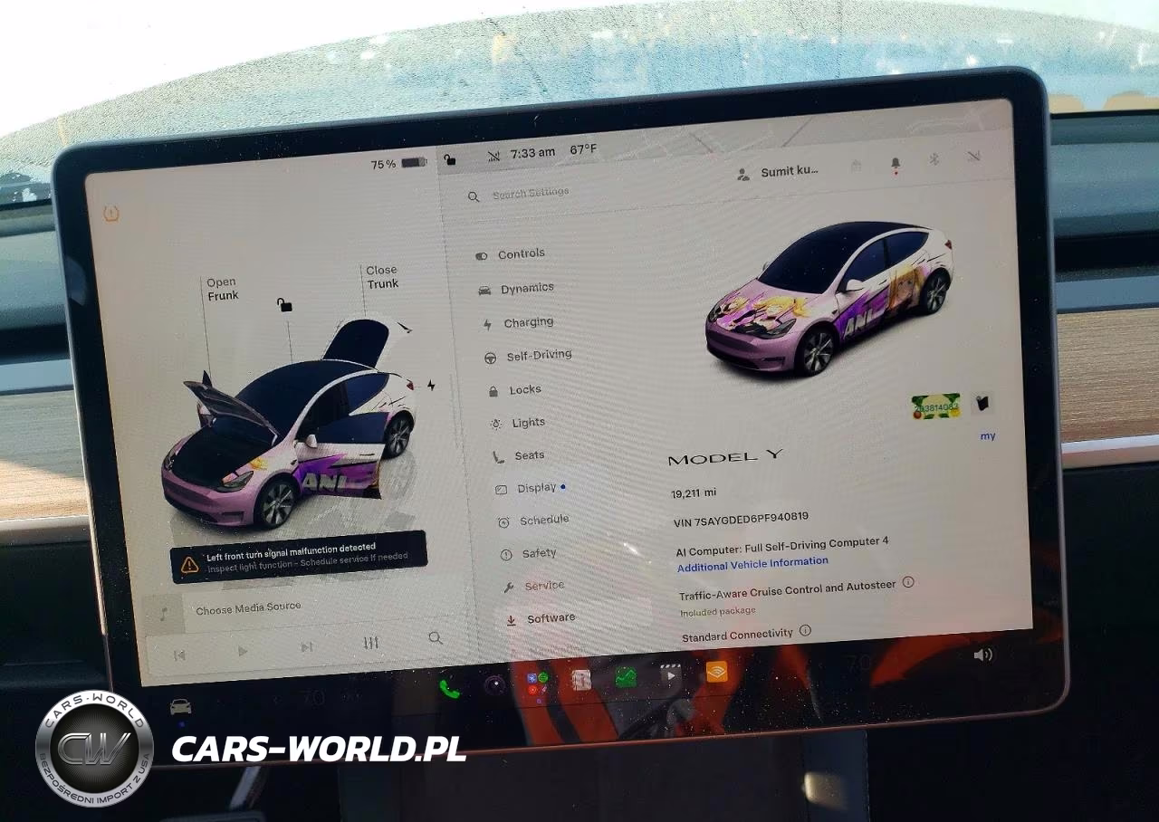 2023 Tesla Model Y VIN:7SAYGDED6PF940819 - 9
