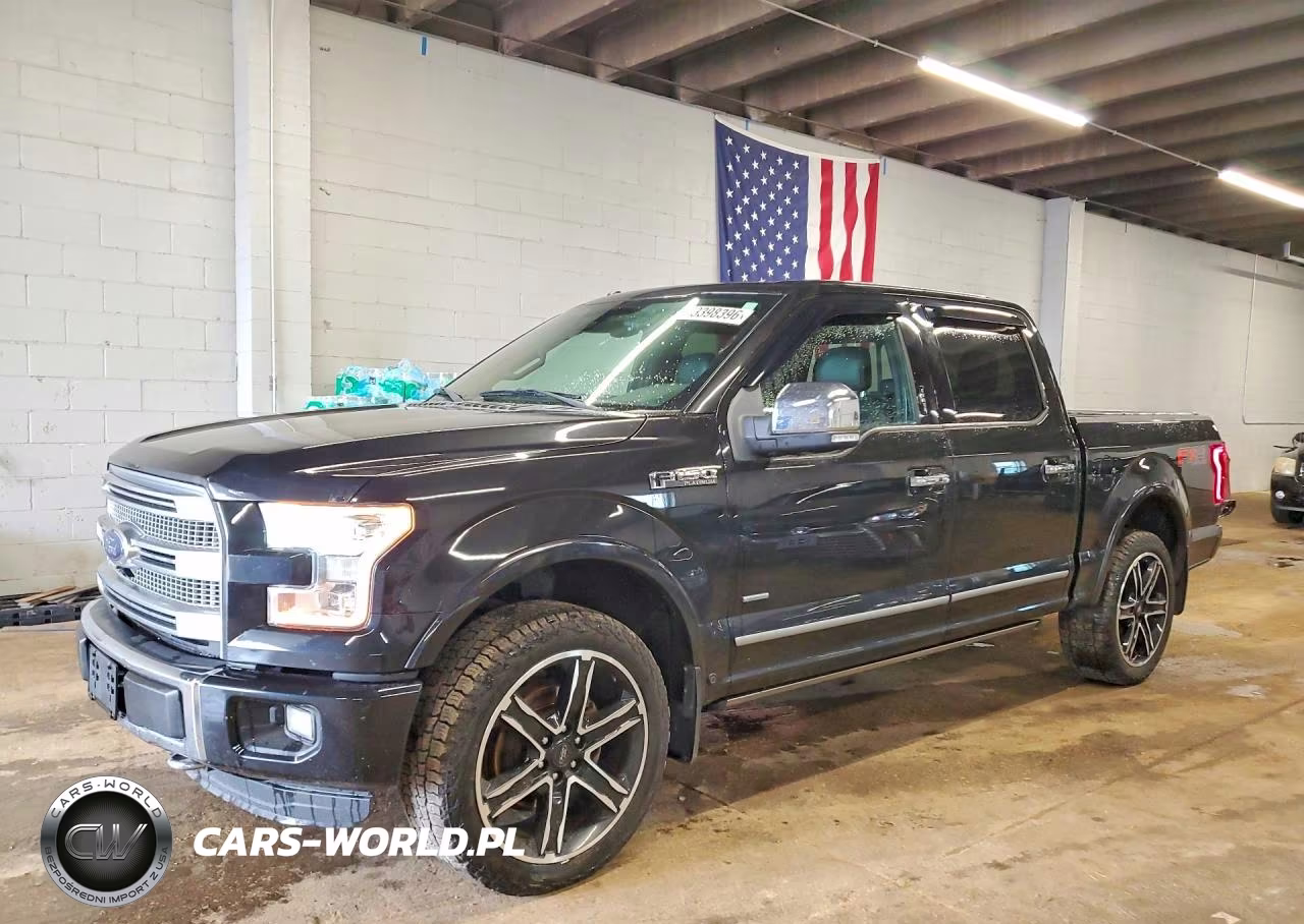 2015 Ford F150 Supercrew VIN:1FTEW1EG8FFB64795 - 1