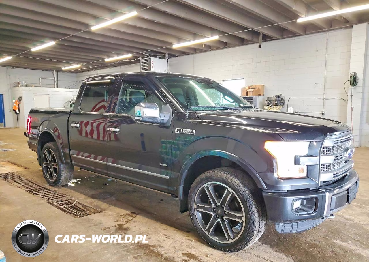 2015 Ford F150 Supercrew VIN:1FTEW1EG8FFB64795 - 4