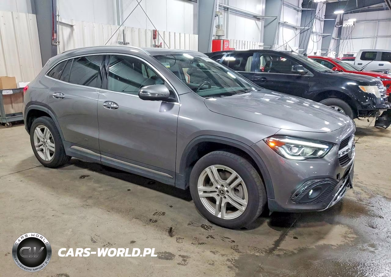 2021 Mercedes-Benz Gla 250 4Matic VIN:W1N4N4HB8MJ124249 - 4