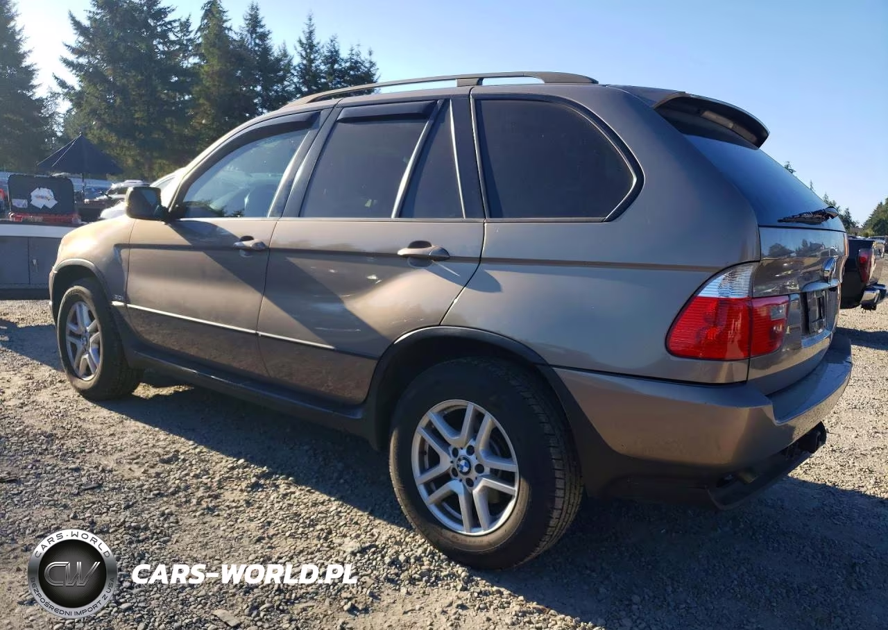 2005 BMW X5 3.0I VIN:5UXFA13595LY10557 - 2