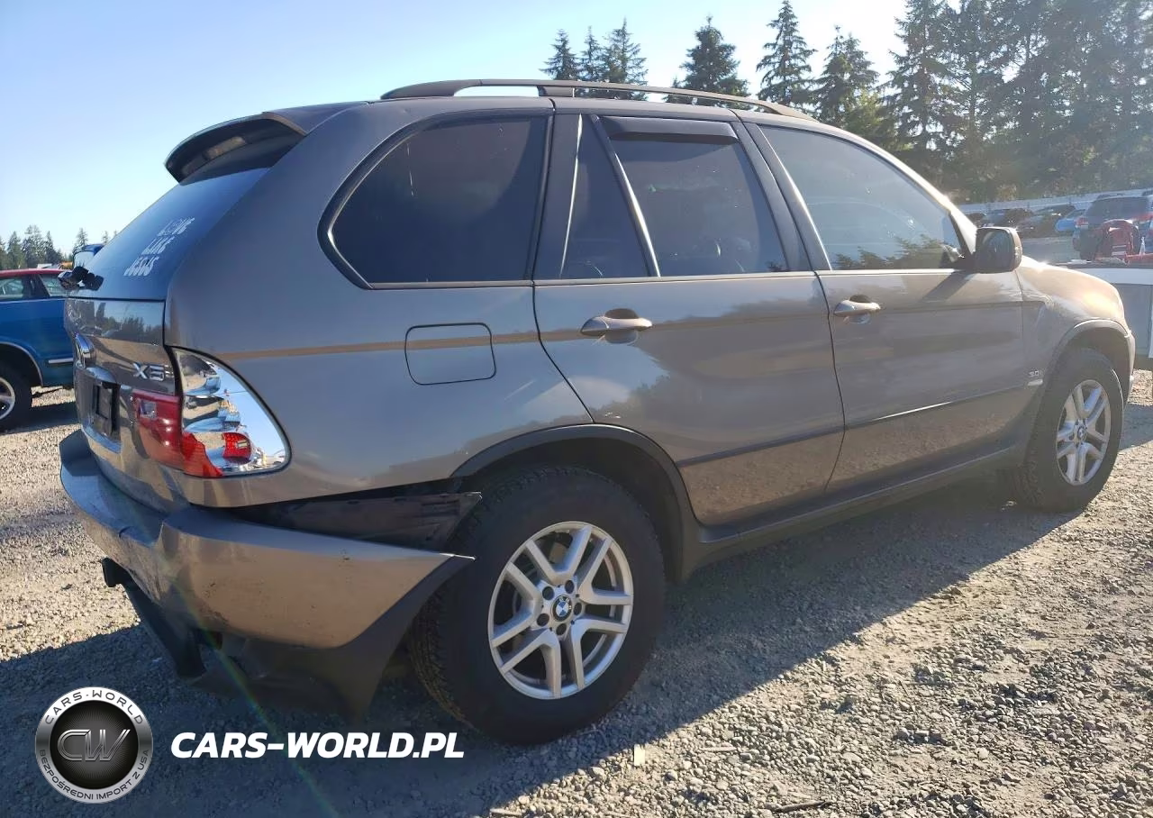 2005 BMW X5 3.0I VIN:5UXFA13595LY10557 - 3