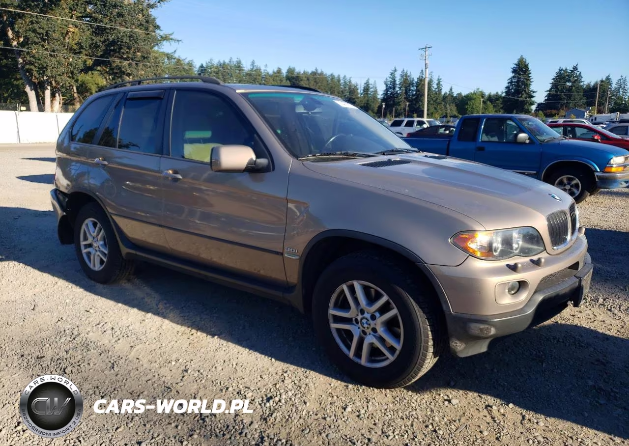 2005 BMW X5 3.0I VIN:5UXFA13595LY10557 - 4