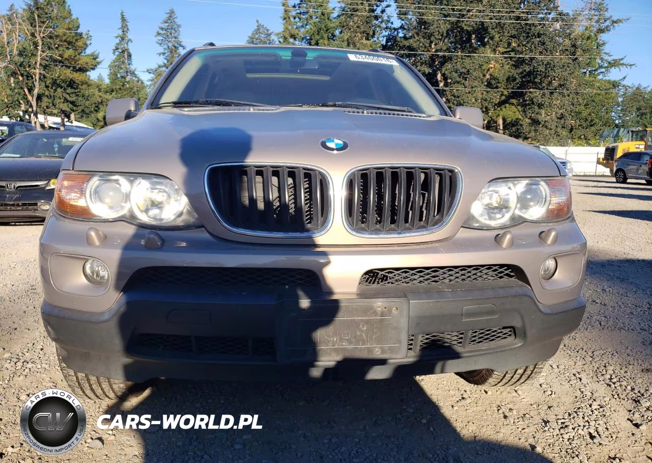 2005 BMW X5 3.0I VIN:5UXFA13595LY10557 - 5