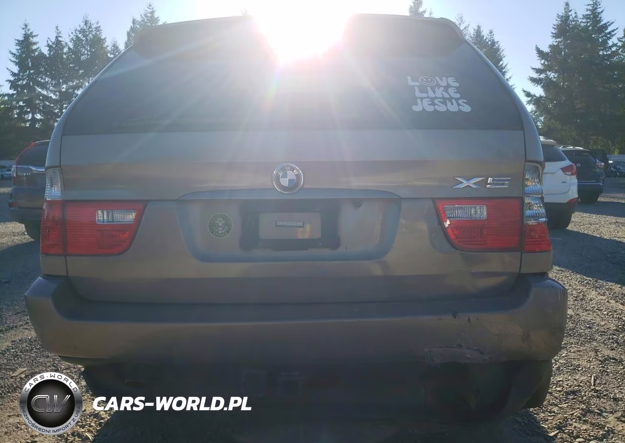 2005 BMW X5 3.0I VIN:5UXFA13595LY10557 - 6