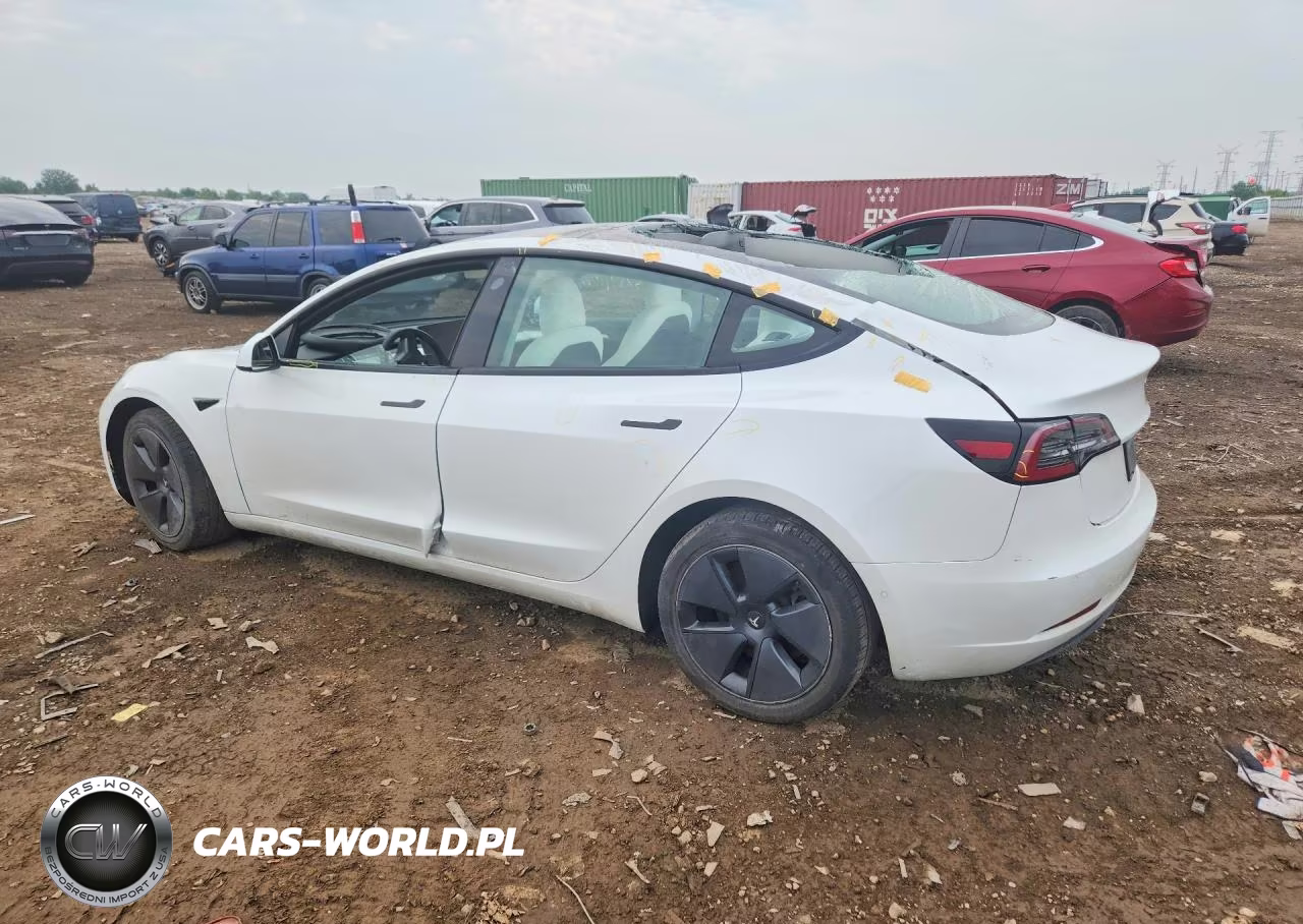 2022 Tesla Model 3 VIN:5YJ3E1EB4NF248808 - 2