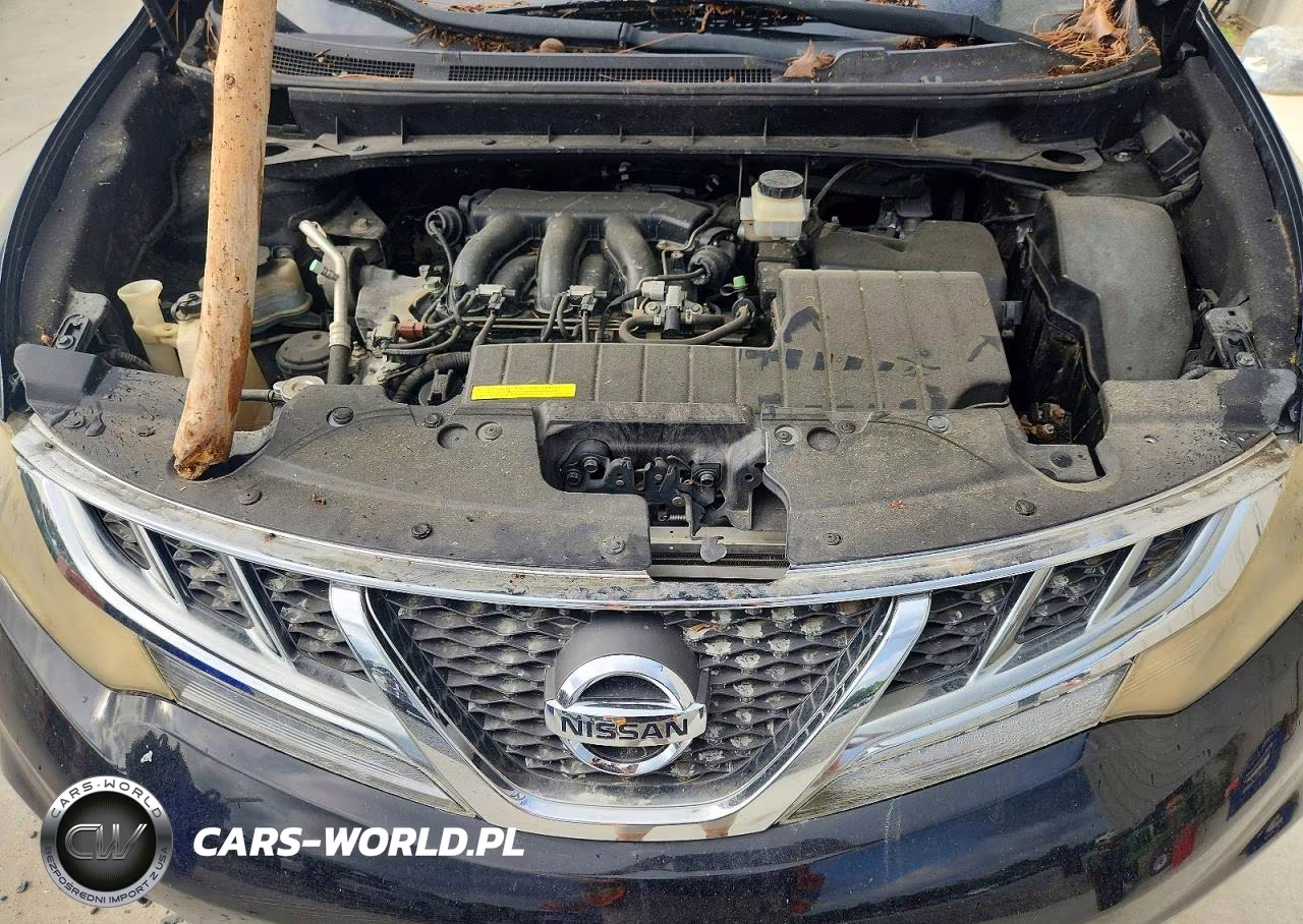 2013 Nissan Murano S VIN:JN8AZ1MU8DW202928 - 12