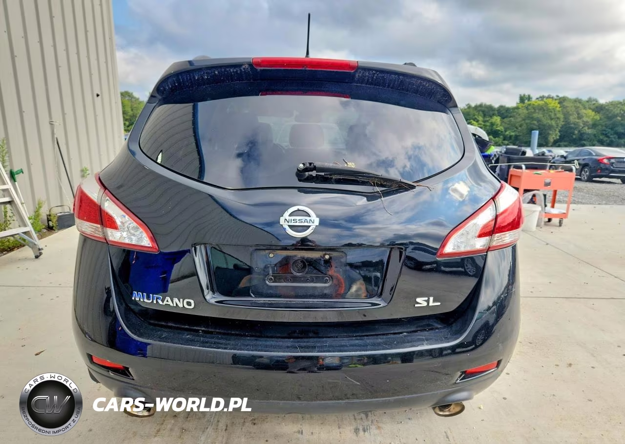 2013 Nissan Murano S VIN:JN8AZ1MU8DW202928 - 6